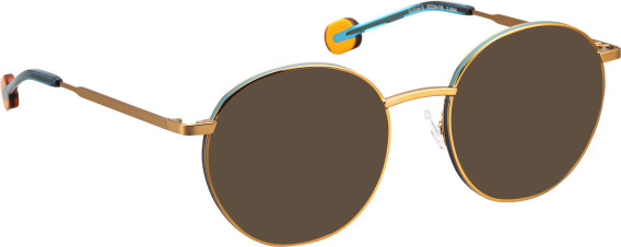 Bellinger Outline-8 sunglasses in Copper/Blue