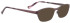 Bellinger Shinymatt-1 sunglasses in Brown
