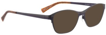 Bellinger Shinymatt-3 sunglasses in Brown/Brown
