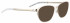 Bellinger Shinysand-2 sunglasses in Gold/Gold