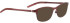Bellinger Shinysand-3 sunglasses in Red/Red