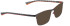 Bellinger Speed-600 sunglasses in Black/Black