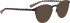 Bellinger Speed-700 sunglasses in Black/Black