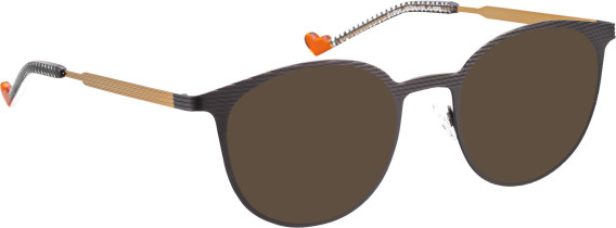 Bellinger Surface sunglasses in Black/Copper