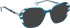 Bellinger Twilight-2 sunglasses in Blue/Blue