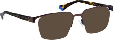 Bellinger Zip sunglasses in Brown/Blue