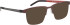 Blac Dan sunglasses in Brown/Grey