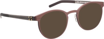 Blac Falk sunglasses in Brown/Black