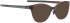 Blac Norma sunglasses in Brown/Grey