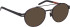 Blac Park sunglasses in Black/Brown
