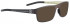 Blac Plus70 sunglasses in Brown/Brown