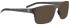 Blac Plus71 sunglasses in Brown/Brown