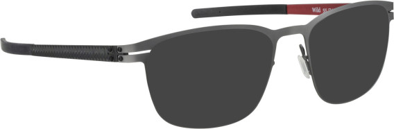 Blac Wild sunglasses in Grey/Grey