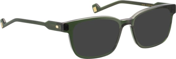 Entourage of 7 Archer sunglasses in Green/Green