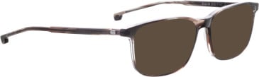 Entourage of 7 Bode-Xs sunglasses in Brown/Brown