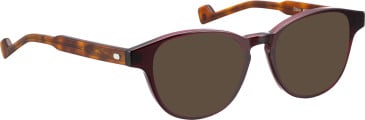 Entourage of 7 Eloize sunglasses in Purple/Brown