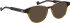 Entourage of 7 Eloize sunglasses in Brown/Green