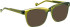 Entourage of 7 Evander sunglasses in Green/Green