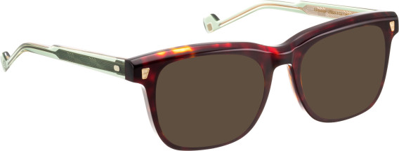 Entourage of 7 Evander sunglasses in Brown/Brown
