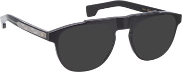 Entourage of 7 Fegan sunglasses in Black/Black