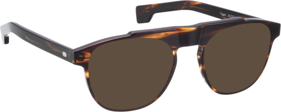 Entourage of 7 Fegan sunglasses in Brown/Brown