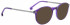 Entourage of 7 Florence-Optical sunglasses in Purple/Purple
