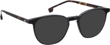 Entourage of 7 Jackson-Sk sunglasses in Black/Brown