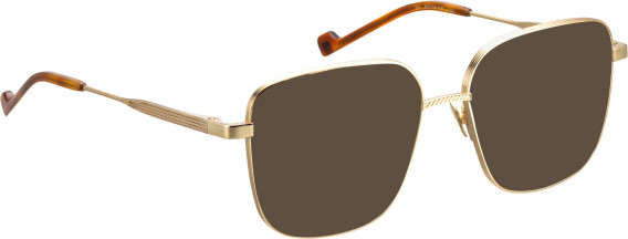 Entourage of 7 Jia sunglasses in Gold/Gold