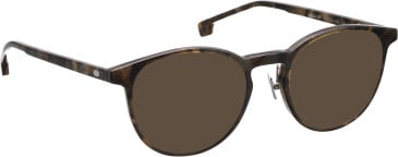 Entourage of 7 Kane-Np sunglasses in Green/Green