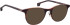Entourage of 7 Kurtis sunglasses in Brown/Brown