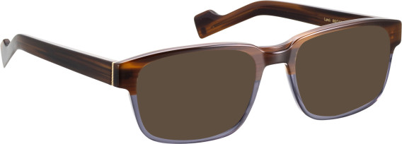 Entourage of 7 Levi sunglasses in Brown/Grey
