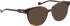 Entourage of 7 Magnolia sunglasses in Red/Red