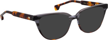 Entourage of 7 Molly sunglasses in Grey/Brown