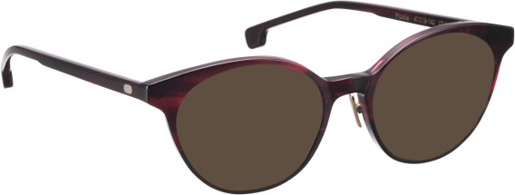Entourage of 7 Phoebe sunglasses in Red/Brown