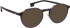 Entourage of 7 Ronald sunglasses in Brown/Brown