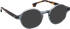 Entourage of 7 Ryker sunglasses in Blue/Brown