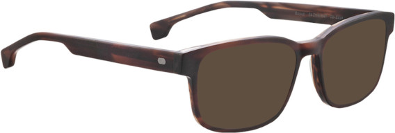 Entourage of 7 Scout sunglasses in Brown/Brown