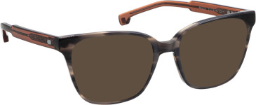 Entourage of 7 Serenity sunglasses in Grey/Brown