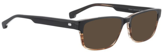 Entourage of 7 Shane sunglasses in Brown/Clear Brown