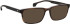 Entourage of 7 Shane-Xl sunglasses in Brown/Brown