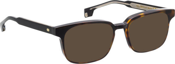 Entourage of 7 Toby sunglasses in Brown/Black