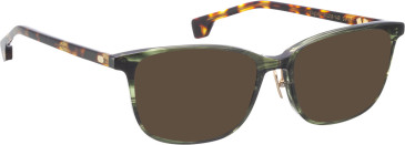 Entourage of 7 Virginia sunglasses in Green/Brown