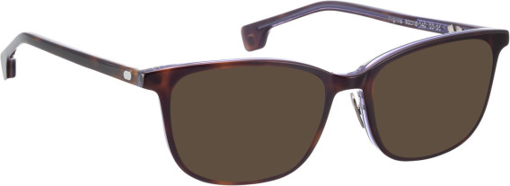 Entourage of 7 Virginia sunglasses in Brown/Brown