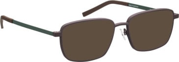 Bellinger Boldline-7 sunglasses in Brown/Green