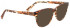 Bellinger Bounce-6 sunglasses in Brown/Clear