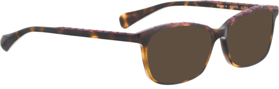 Bellinger Brows-4 sunglasses in Tortoise/Brown