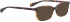 Bellinger Brows-4 sunglasses in Tortoise/Brown