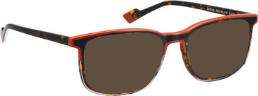 Bellinger Bulldog sunglasses in Brown/Brown