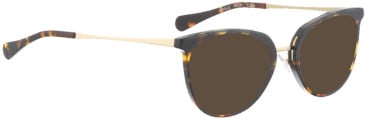 Bellinger Defy-2 sunglasses in Brown/Brown