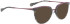 Bellinger Defy-2 sunglasses in Grey/Grey